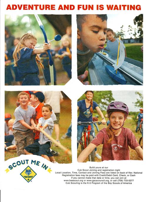 Cub Scouts 